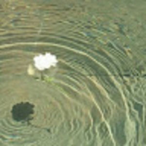 Meet your Posher, Colin